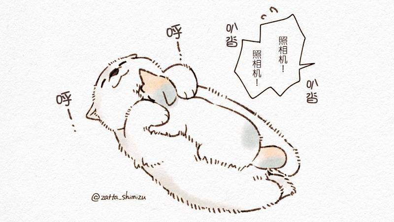 《黑心企业的职员变成猫之后人生有了转变的故事》漫画最新章节作者自创 猫与狗免费下拉式在线观看章节第【3】张图片