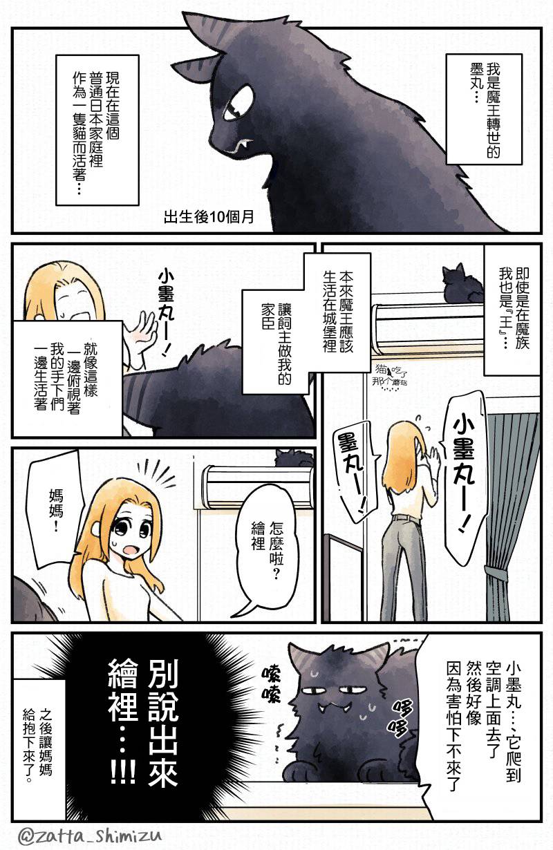 《黑心企业的职员变成猫之后人生有了转变的故事》漫画最新章节作者自创 恶魔转生为猫免费下拉式在线观看章节第【3】张图片