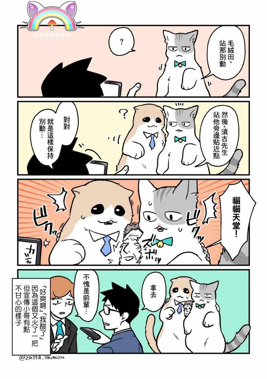 《黑心企业的职员变成猫之后人生有了转变的故事》漫画最新章节变成猫之后 番外12免费下拉式在线观看章节第【4】张图片