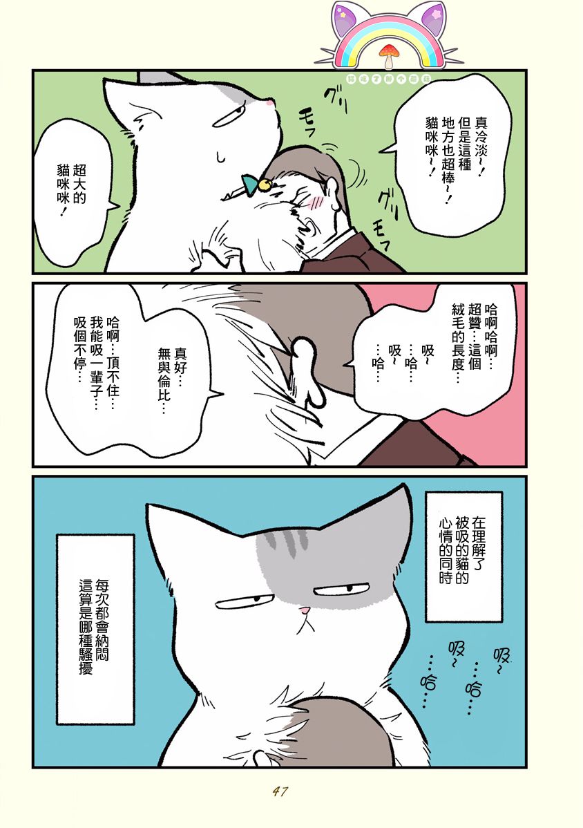 《黑心企业的职员变成猫之后人生有了转变的故事》漫画最新章节第5话免费下拉式在线观看章节第【3】张图片