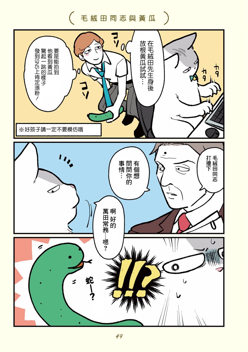 《黑心企业的职员变成猫之后人生有了转变的故事》漫画最新章节第5话免费下拉式在线观看章节第【5】张图片