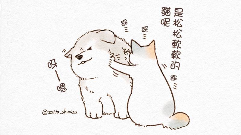 《黑心企业的职员变成猫之后人生有了转变的故事》漫画最新章节作者自创 猫与狗免费下拉式在线观看章节第【4】张图片