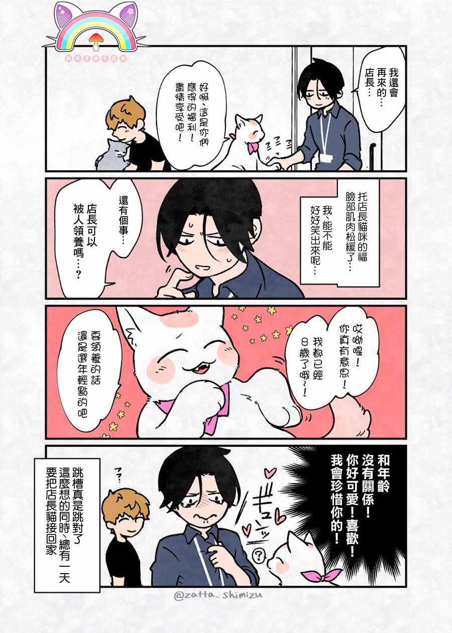 《黑心企业的职员变成猫之后人生有了转变的故事》漫画最新章节变成猫之后 番外11免费下拉式在线观看章节第【4】张图片