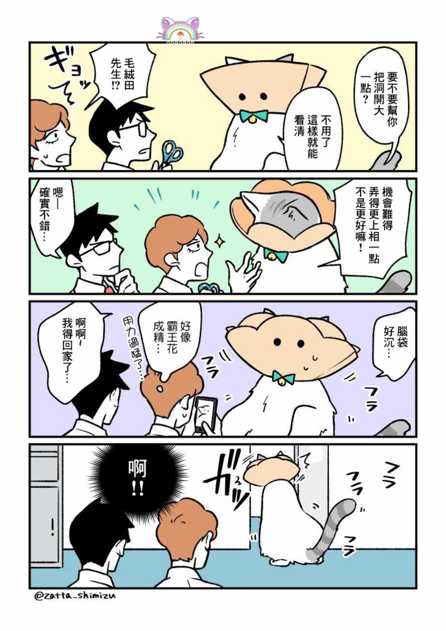 《黑心企业的职员变成猫之后人生有了转变的故事》漫画最新章节变成猫之后 番外15免费下拉式在线观看章节第【7】张图片