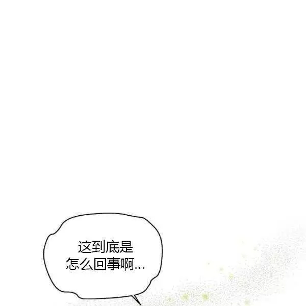 《透明的公爵夫人》漫画最新章节第67话免费下拉式在线观看章节第【15】张图片