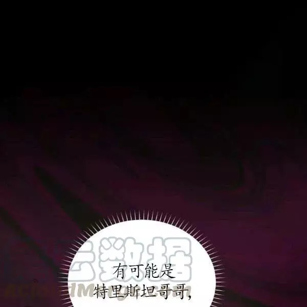 《透明的公爵夫人》漫画最新章节第72话免费下拉式在线观看章节第【117】张图片