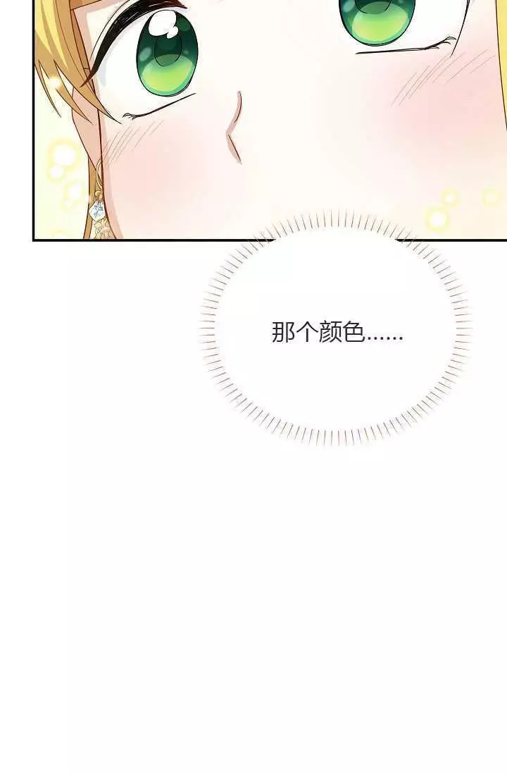 《透明的公爵夫人》漫画最新章节第57话免费下拉式在线观看章节第【63】张图片