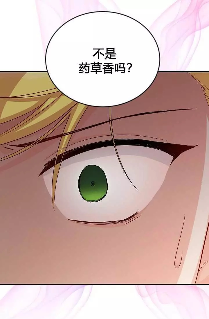 《透明的公爵夫人》漫画最新章节第63话免费下拉式在线观看章节第【67】张图片