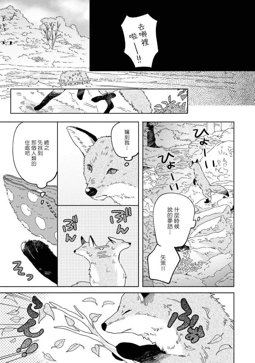 《小狐貍老师永不气馁!!!》漫画最新章节第1话免费下拉式在线观看章节第【11】张图片