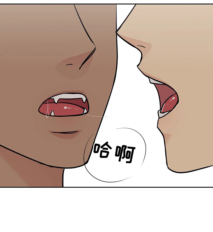 《奇怪的组长》漫画最新章节第33话免费下拉式在线观看章节第【5】张图片