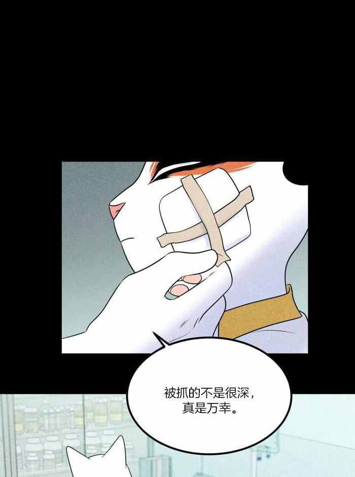 《蓝色计划》漫画最新章节第75话免费下拉式在线观看章节第【11】张图片