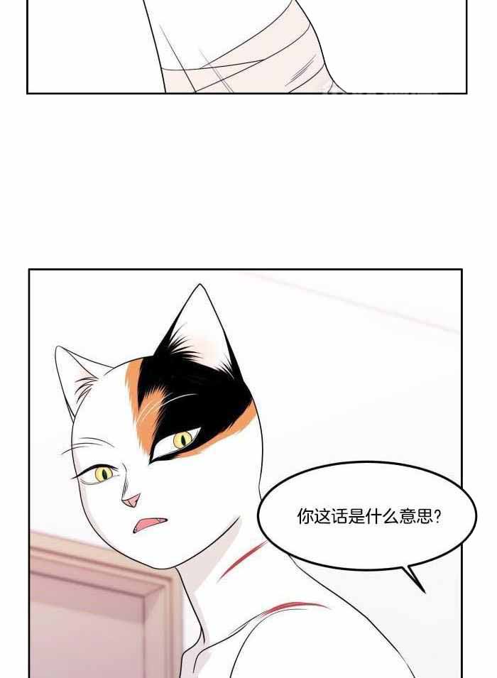 《蓝色计划》漫画最新章节第48话免费下拉式在线观看章节第【12】张图片