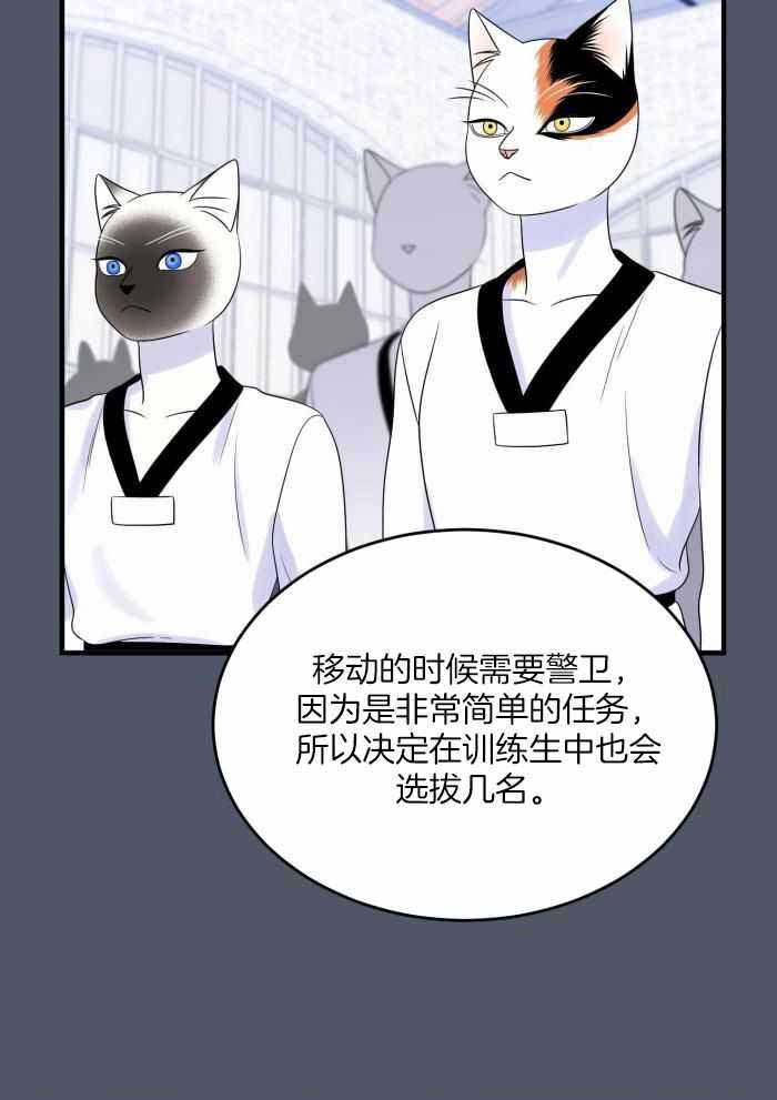 《蓝色计划》漫画最新章节第81话免费下拉式在线观看章节第【13】张图片