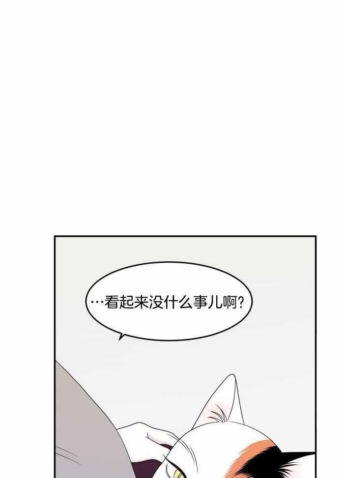 《蓝色计划》漫画最新章节第59话免费下拉式在线观看章节第【4】张图片