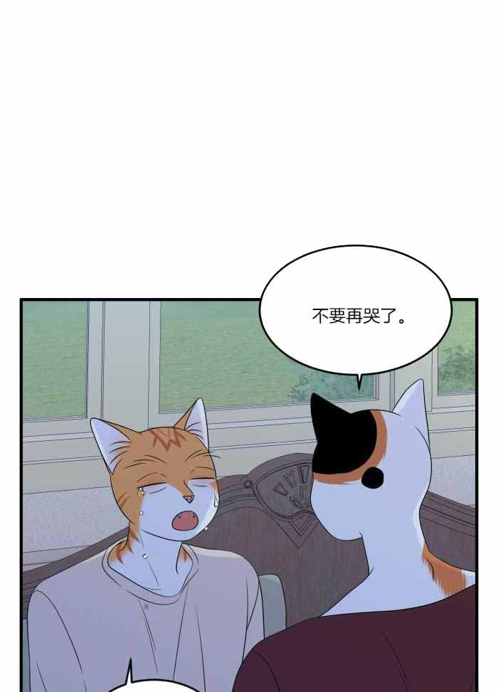 《蓝色计划》漫画最新章节第71话免费下拉式在线观看章节第【3】张图片