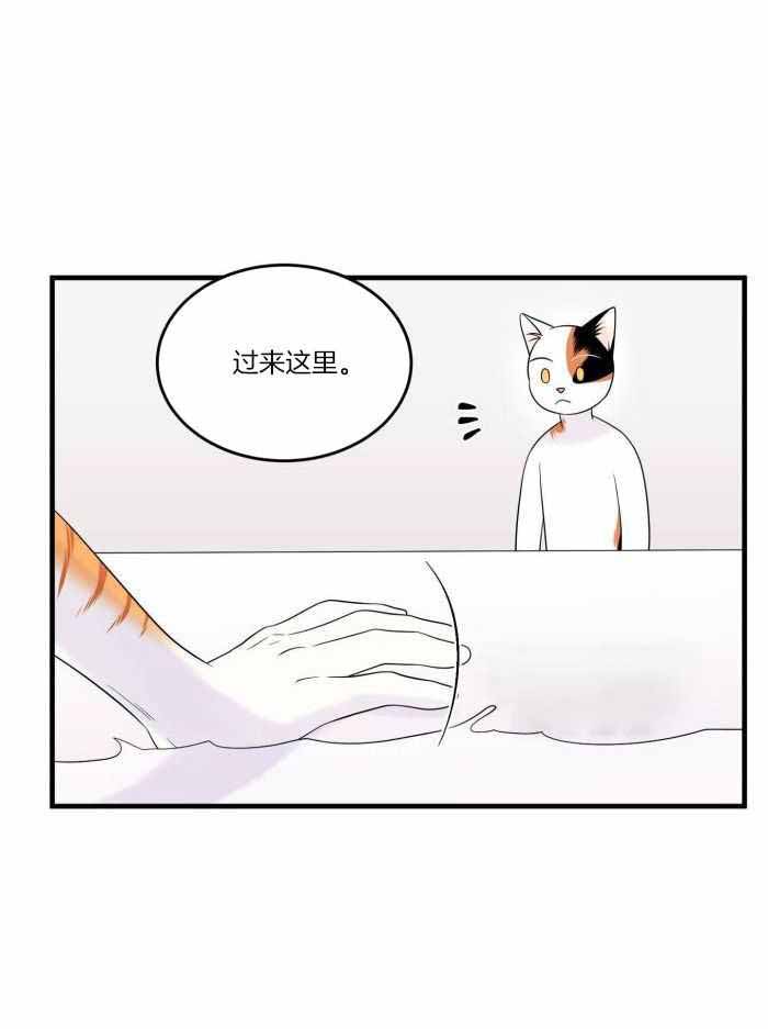 《蓝色计划》漫画最新章节第76话免费下拉式在线观看章节第【13】张图片