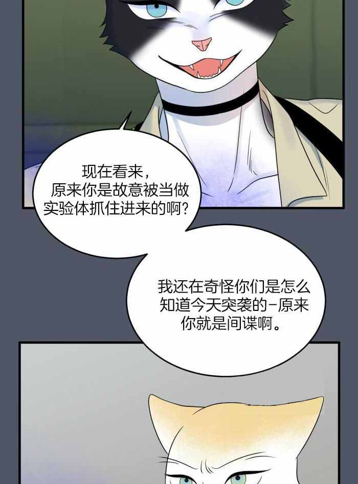 《蓝色计划》漫画最新章节第90话免费下拉式在线观看章节第【22】张图片