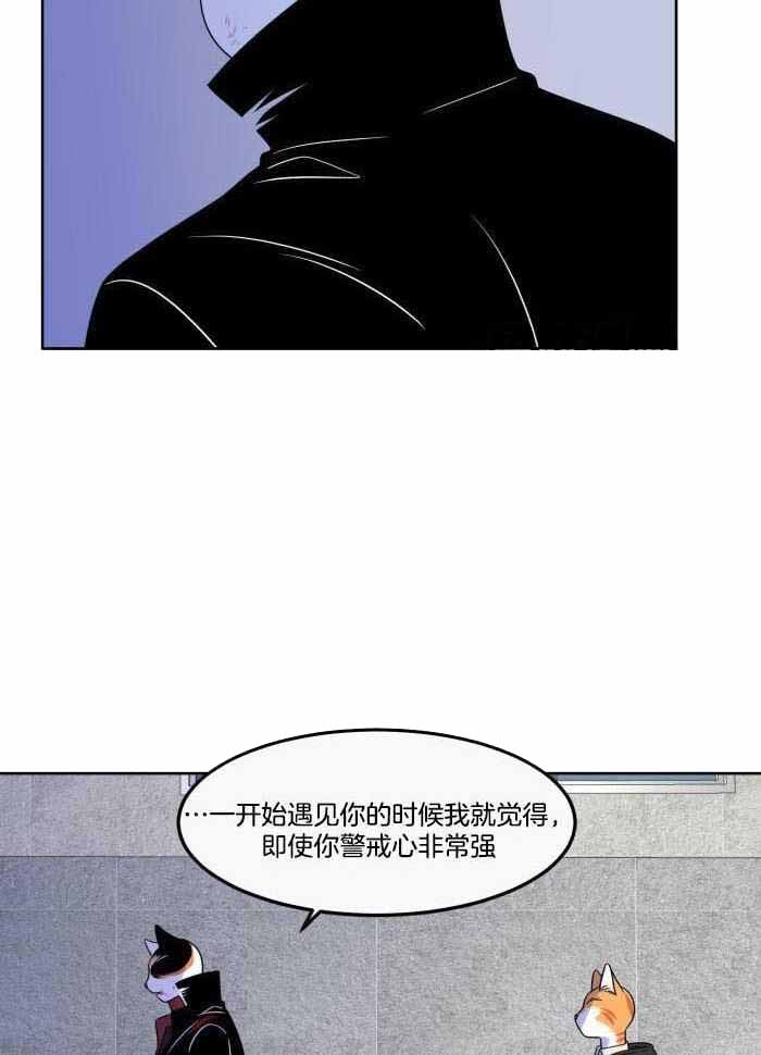 《蓝色计划》漫画最新章节第47话免费下拉式在线观看章节第【12】张图片