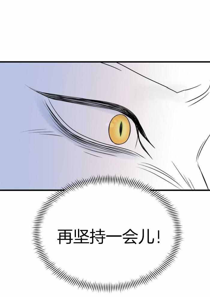 《蓝色计划》漫画最新章节第68话免费下拉式在线观看章节第【16】张图片