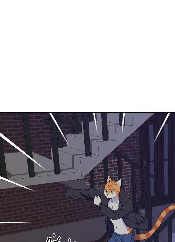 《蓝色计划》漫画最新章节第35话免费下拉式在线观看章节第【1】张图片