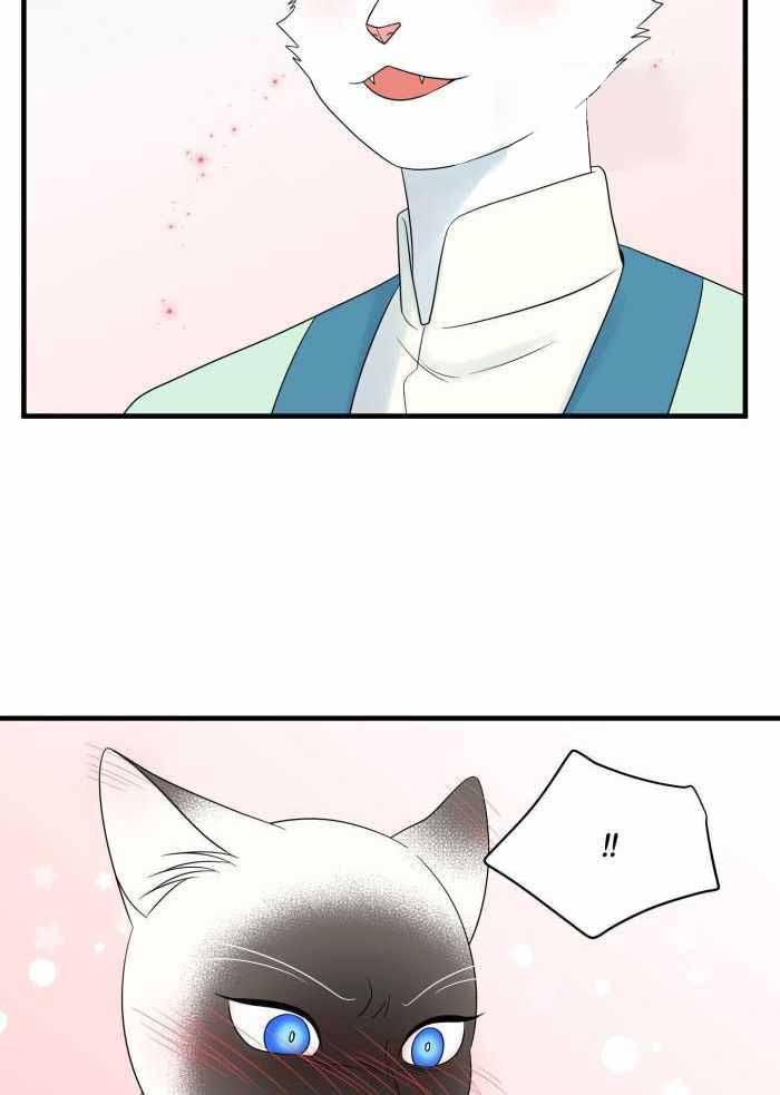 《蓝色计划》漫画最新章节第69话免费下拉式在线观看章节第【11】张图片