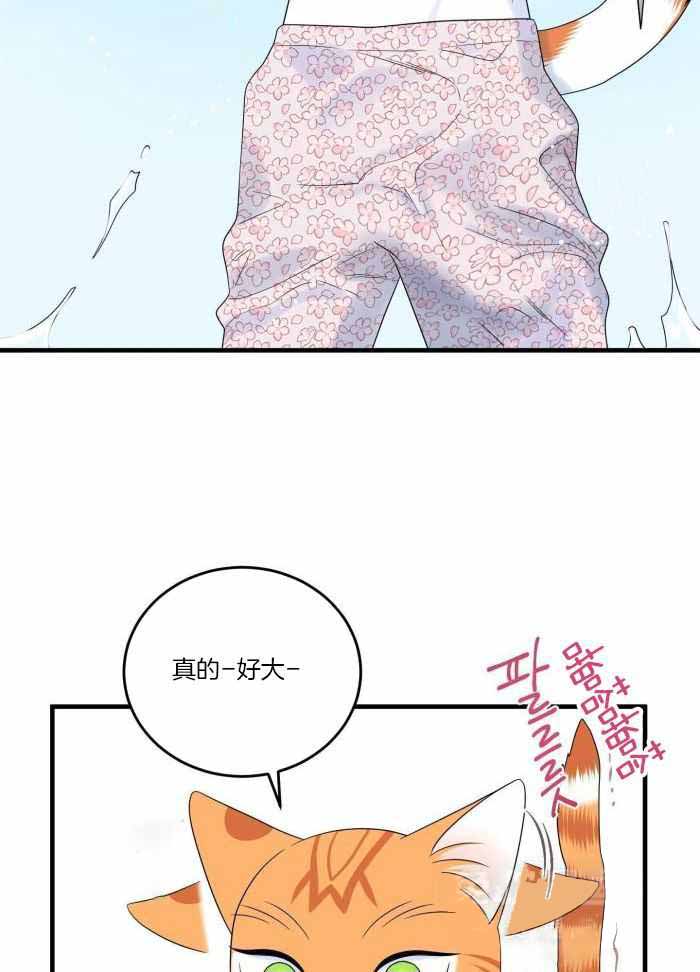 《蓝色计划》漫画最新章节第72话免费下拉式在线观看章节第【19】张图片