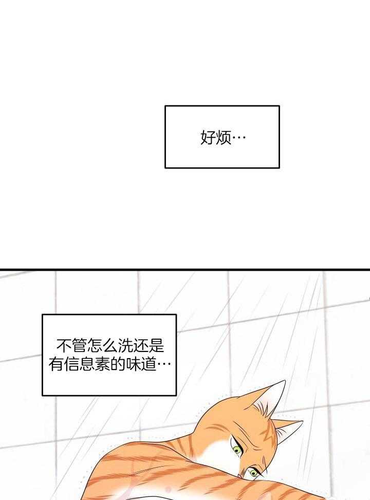 《蓝色计划》漫画最新章节第33话免费下拉式在线观看章节第【14】张图片