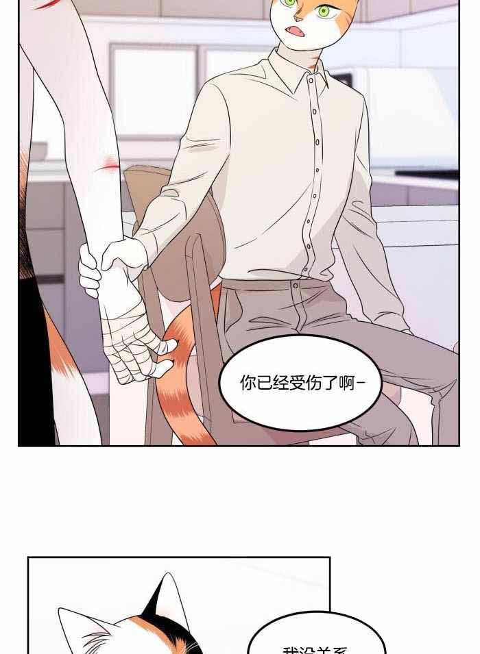 《蓝色计划》漫画最新章节第48话免费下拉式在线观看章节第【14】张图片