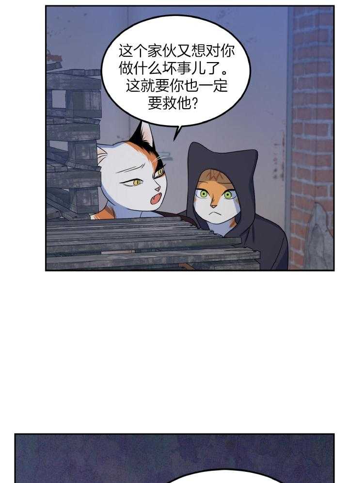 《蓝色计划》漫画最新章节第38话免费下拉式在线观看章节第【15】张图片