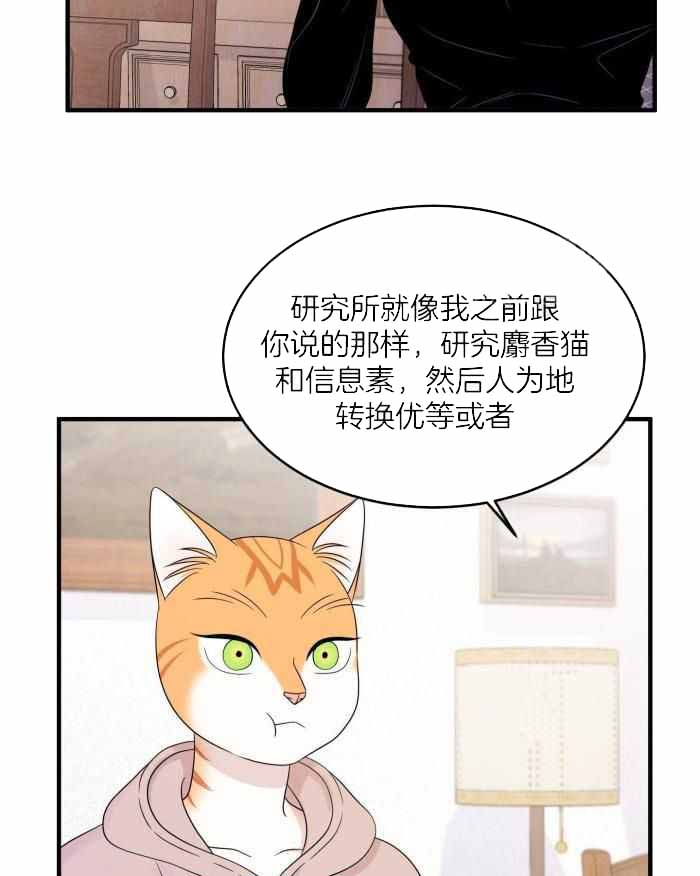 《蓝色计划》漫画最新章节第77话免费下拉式在线观看章节第【32】张图片