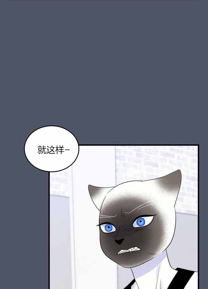 《蓝色计划》漫画最新章节第81话免费下拉式在线观看章节第【19】张图片