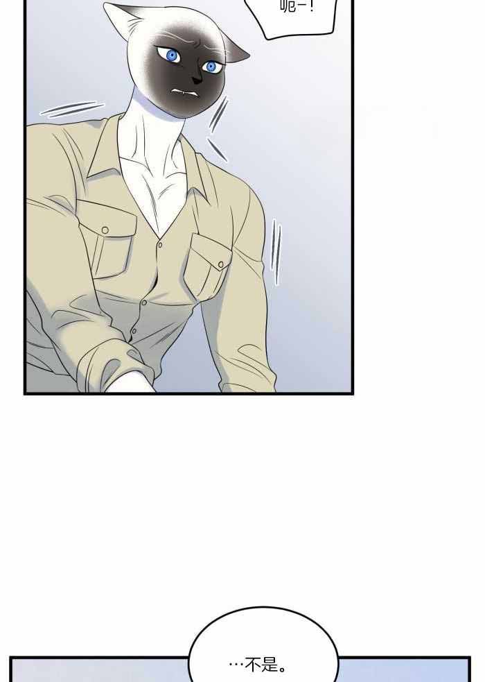 《蓝色计划》漫画最新章节第69话免费下拉式在线观看章节第【6】张图片