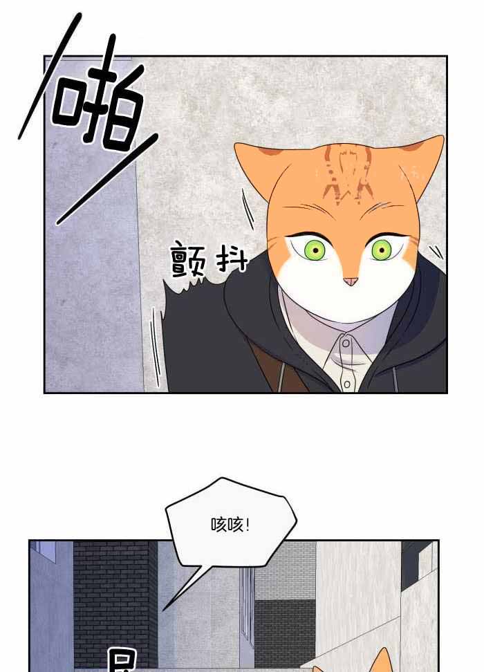 《蓝色计划》漫画最新章节第46话免费下拉式在线观看章节第【14】张图片