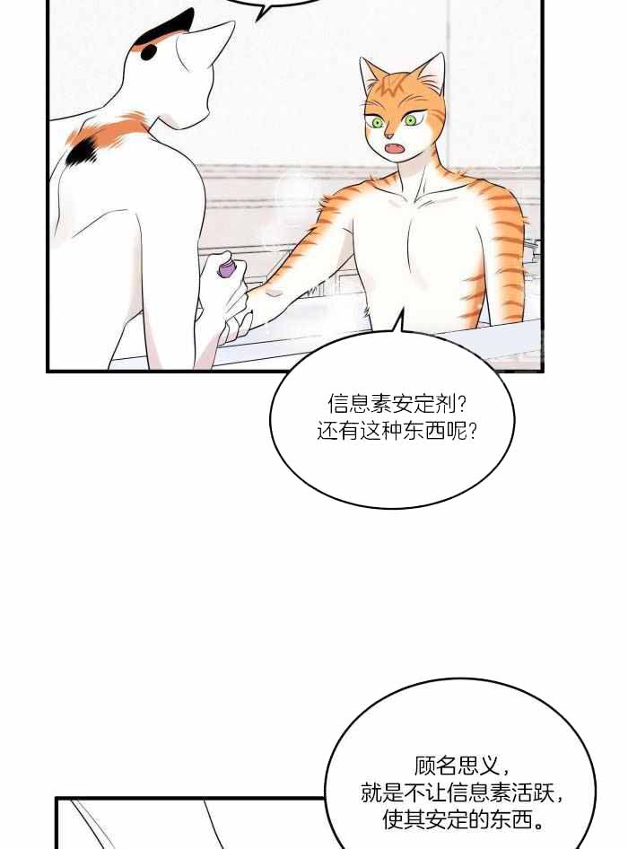 《蓝色计划》漫画最新章节第74话免费下拉式在线观看章节第【10】张图片