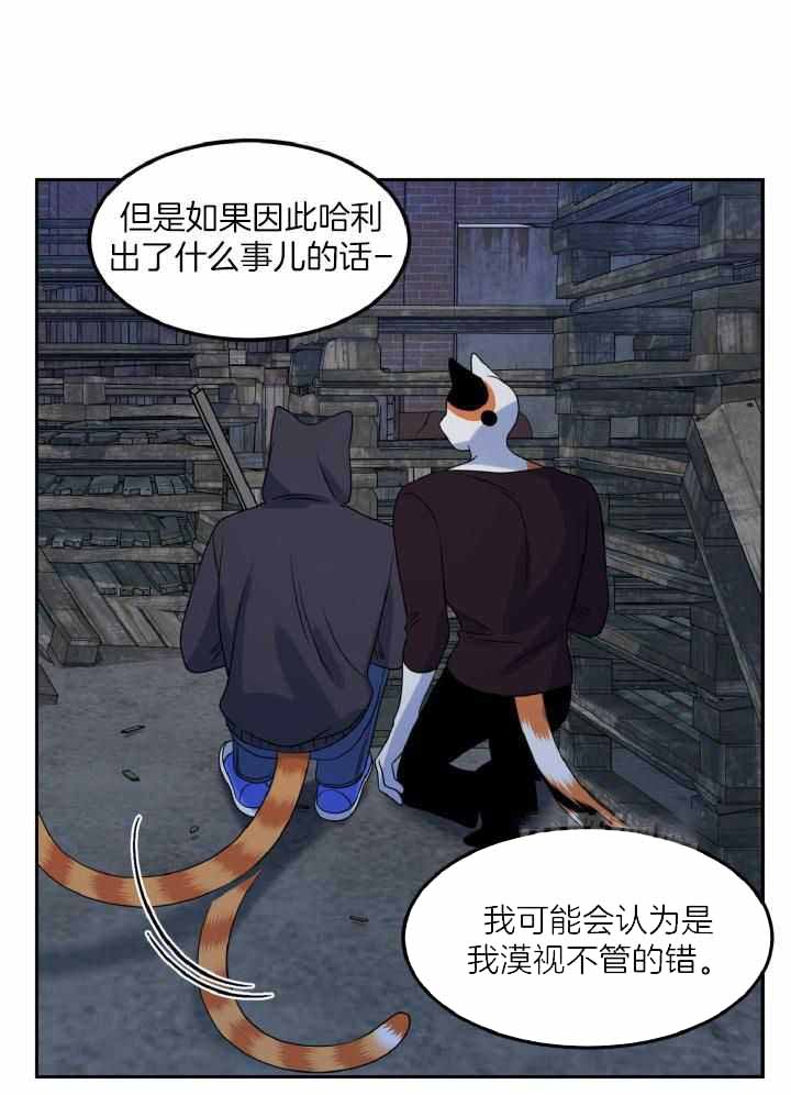 《蓝色计划》漫画最新章节第38话免费下拉式在线观看章节第【17】张图片