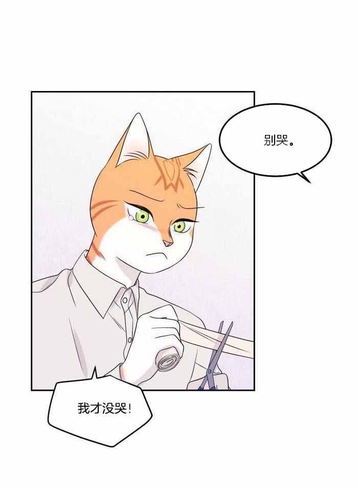 《蓝色计划》漫画最新章节第48话免费下拉式在线观看章节第【22】张图片