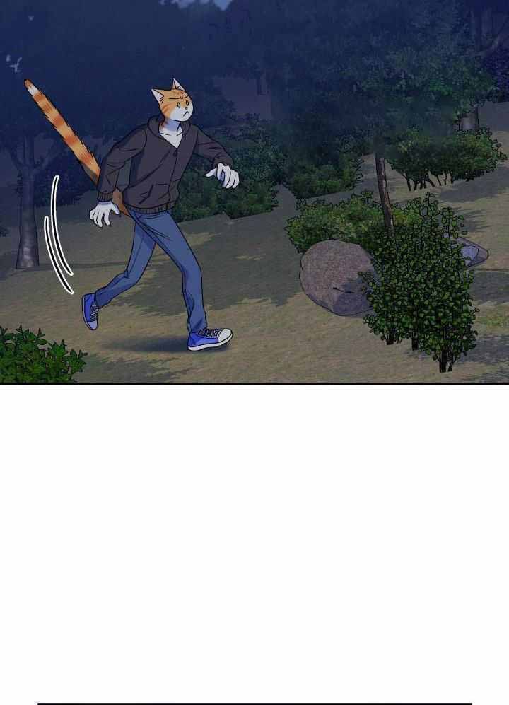 《蓝色计划》漫画最新章节第35话免费下拉式在线观看章节第【17】张图片