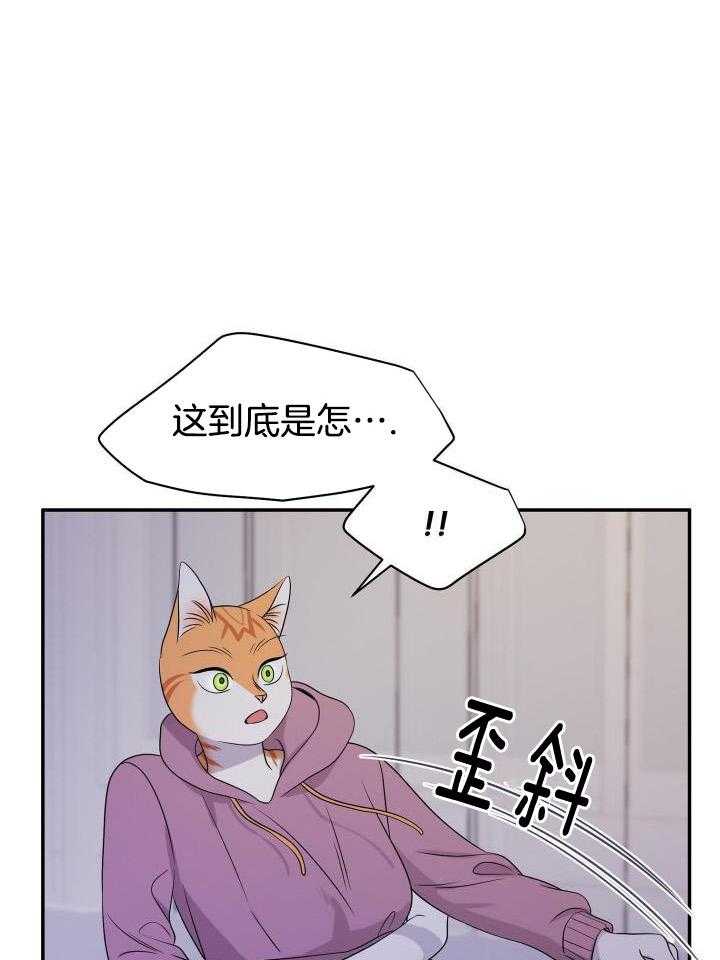 《蓝色计划》漫画最新章节第28话免费下拉式在线观看章节第【15】张图片