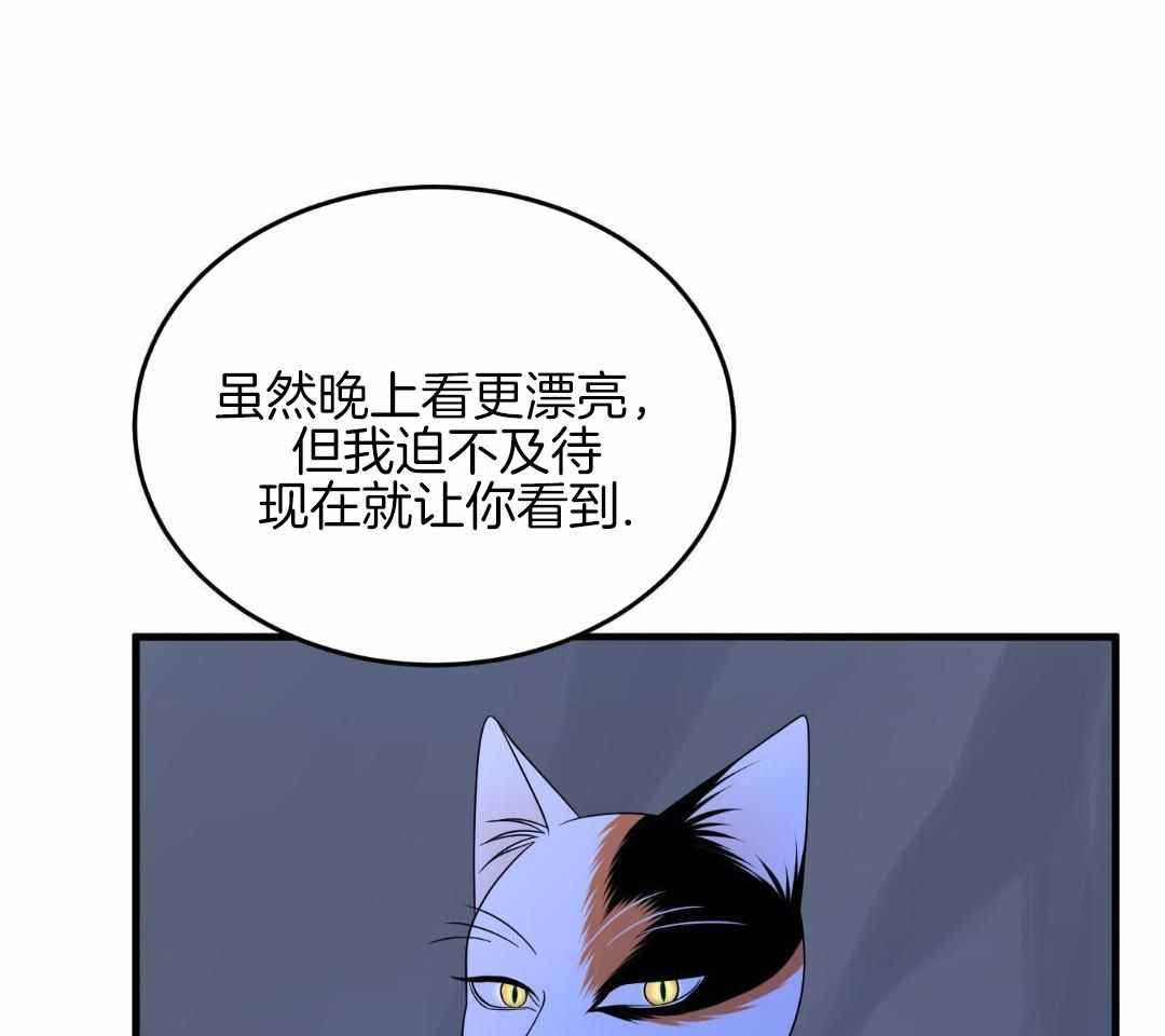 《蓝色计划》漫画最新章节第104话免费下拉式在线观看章节第【17】张图片