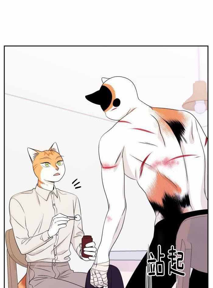 《蓝色计划》漫画最新章节第48话免费下拉式在线观看章节第【9】张图片