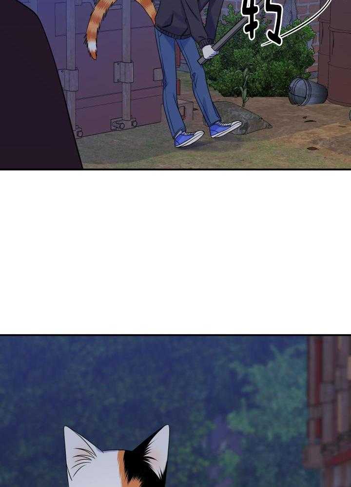 《蓝色计划》漫画最新章节第35话免费下拉式在线观看章节第【24】张图片