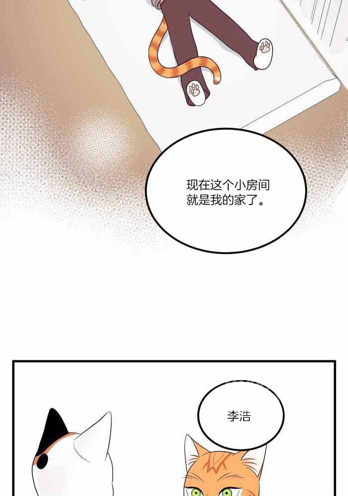 《蓝色计划》漫画最新章节第76话免费下拉式在线观看章节第【21】张图片