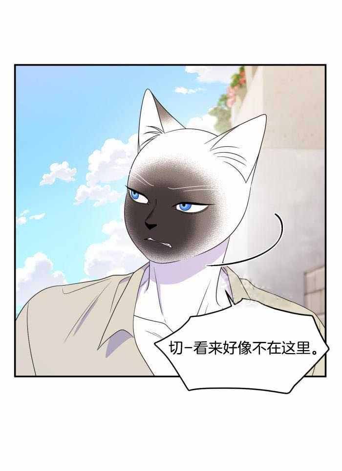 《蓝色计划》漫画最新章节第60话免费下拉式在线观看章节第【21】张图片