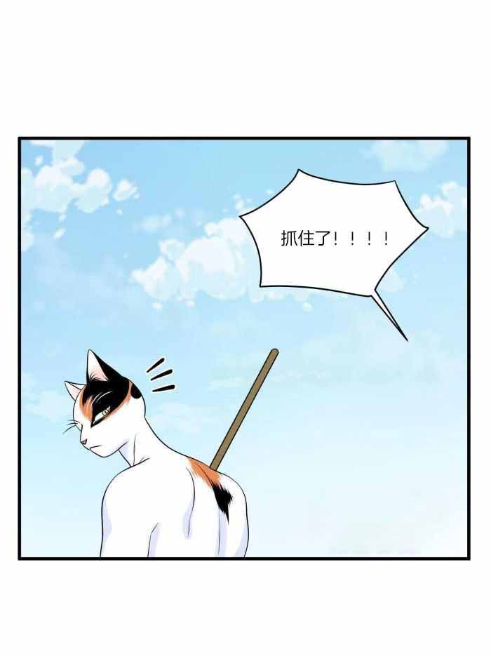 《蓝色计划》漫画最新章节第73话免费下拉式在线观看章节第【17】张图片