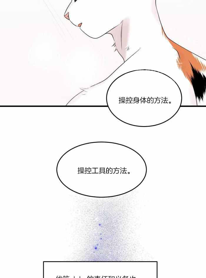 《蓝色计划》漫画最新章节第74话免费下拉式在线观看章节第【22】张图片