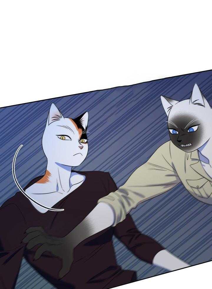 《蓝色计划》漫画最新章节第40话免费下拉式在线观看章节第【16】张图片