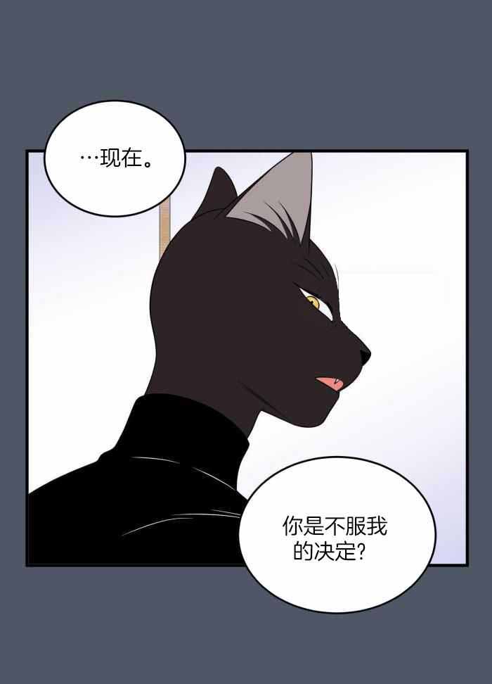 《蓝色计划》漫画最新章节第81话免费下拉式在线观看章节第【23】张图片