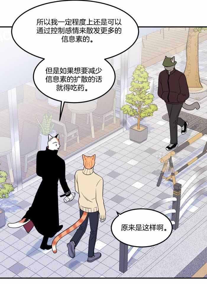 《蓝色计划》漫画最新章节第51话免费下拉式在线观看章节第【7】张图片