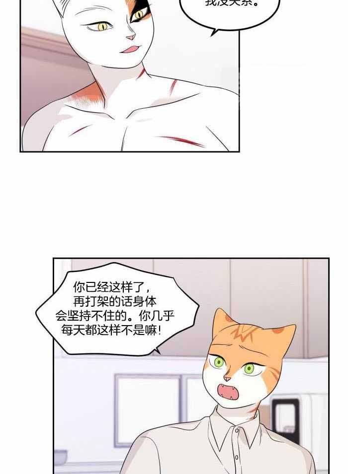 《蓝色计划》漫画最新章节第48话免费下拉式在线观看章节第【15】张图片