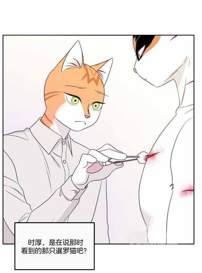 《蓝色计划》漫画最新章节第48话免费下拉式在线观看章节第【4】张图片